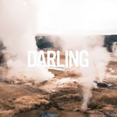 Zerbin - Darling