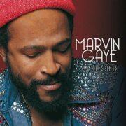 Marvin Gaye ‎– Collected
