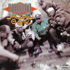 Diamond D - Stunts Blunts & Hip Hop