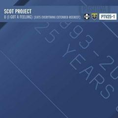 Scot Project - U (I Got A Feeling)