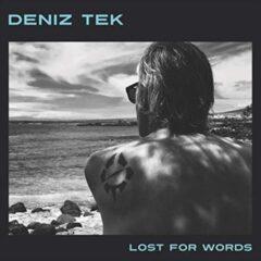 Deniz Tek - Lost for Words