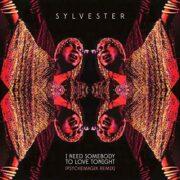 Sylvester - I Need Somebody to Love Tonight