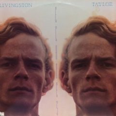 Livingston Taylor ‎– Echoes