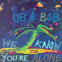 Bob & Bob ‎– We Know You're Alone
