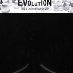 Mike Mayo ‎– Evolution