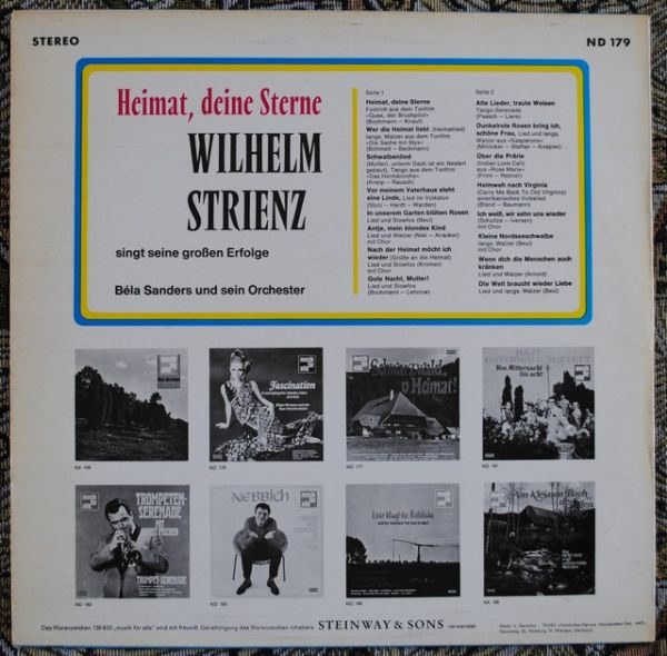 Wilhelm Strienz - Singt Grossen Erfolge