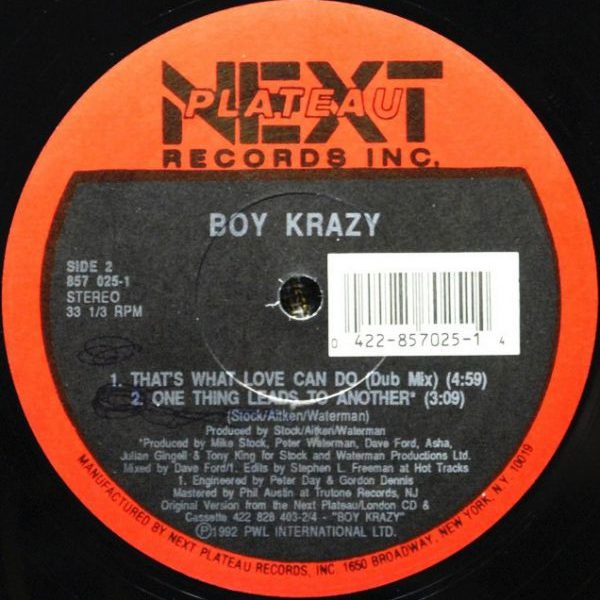 Boy Krazy ‎– That's What Love Can Do