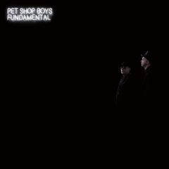 Pet Shop Boys ‎– Fundamental ( Original, 2006 )