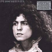 Tyrannosaurus Rex ‎– A Beard Of Stars ( Запечатанная, 2 LP )