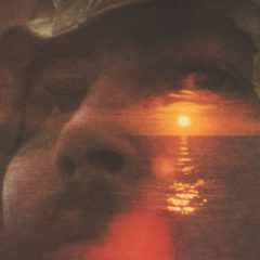 David Crosby ‎– If I Could Only Remember My Name