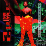 2Pac ‎– Strictly 4 My N.I.G.G.A.Z... ( 2 LP )