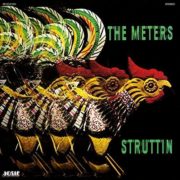 Meters ‎– Struttin