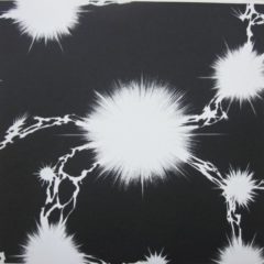Motorpsycho ‎– Black Hole / Blank Canvas ( 2 LP )