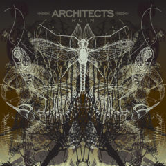 Architects ‎– Ruin ( 180g )