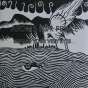 Atoms For Peace ‎– Before Your Very Eyes