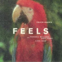 Calvin Harris, Pharrell Williams, Katy Perry & Big Sean ‎– Feels