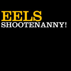 Eels ‎– Shootenanny! ( 180g )