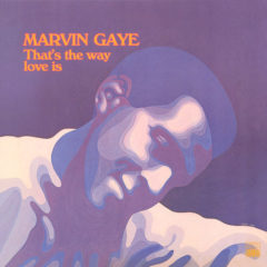 Marvin Gaye ‎– That's The Way Love Is
