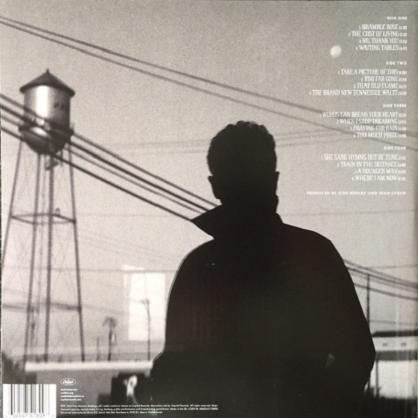Don Henley ‎– Cass County ( 2 LP )