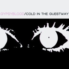 Gypsyblood ‎– Cold In The Guestway