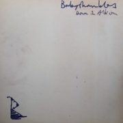 Babyshambles ‎– Down In Albion (2 LP)