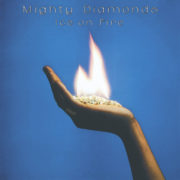 Mighty Diamonds ‎– Ice On Fire