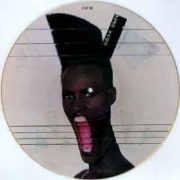 Grace Jones ‎– Slave To The Rhythm ( Picture Vinyl )