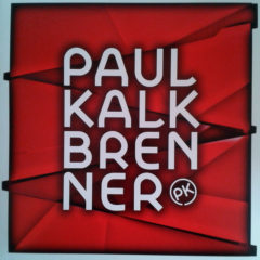 Paul Kalkbrenner ‎– Icke Wieder ( 180g )