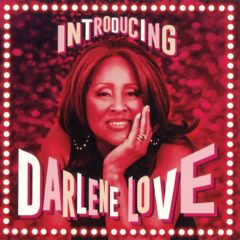 Darlene Love ‎– Introducing Darlene Love ( 2 LP )