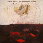 Conor Oberst ‎– Upside Down Mountain ( 2 LP )