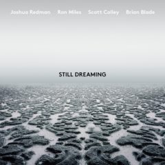Joshua Redman, Ron Miles, Scott Colley, Brian Blade ‎– Still Dreaming