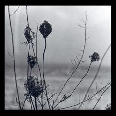 Recondite - Placid  Digital Download