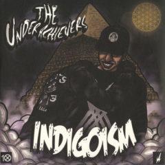 Underachievers - Indigoism