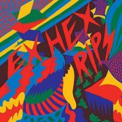 Ex Hex - Rips  Digital Download