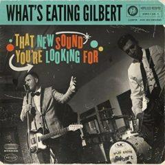 What's Eating Gilber - That New Sound You're Looking for