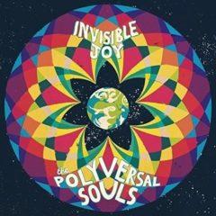 Polyversal Souls - Invisible Joy