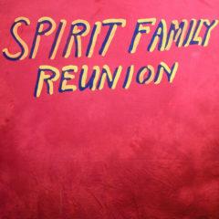Spirit Family Reunion - Hands Together