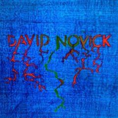 David Novick - David Novick