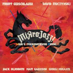 Philipp Gerschlauer - Mikrojazz