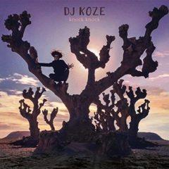 DJ Koze - Knock Knock   With Bonus 7, Digital