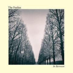 The Feelies - In Between  Digital Download