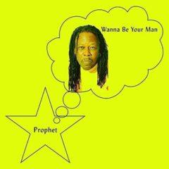 The Prophet - Wanna Be Your Man