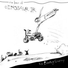 Dinosaur Jr - Ear Bleeding Country: The Best Of   White, Delux