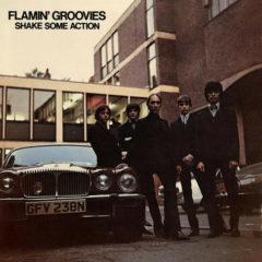 Flamin' Groovies - Shake Some Action