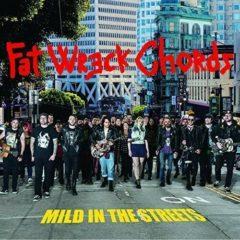 Various ‎– Mild In The Streets: Fat Music Unplugged