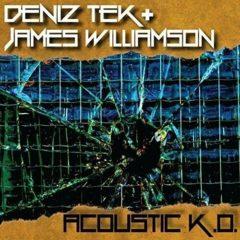 Deniz Tek / James Williamson - Acoustic K.o.