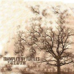 Trampled By Turtles - Duluth