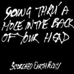 Scorched-Earth Polic - Going Thru a Hole in the Back of Your Head