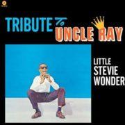 Stevie Wonder - Tribute to Uncle Ray