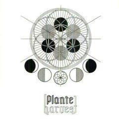 Plante - Harvest